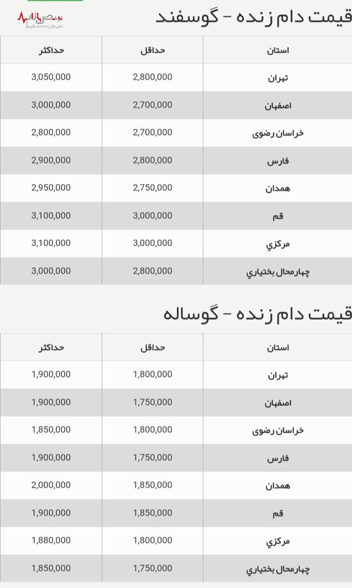 قیمت گوشت