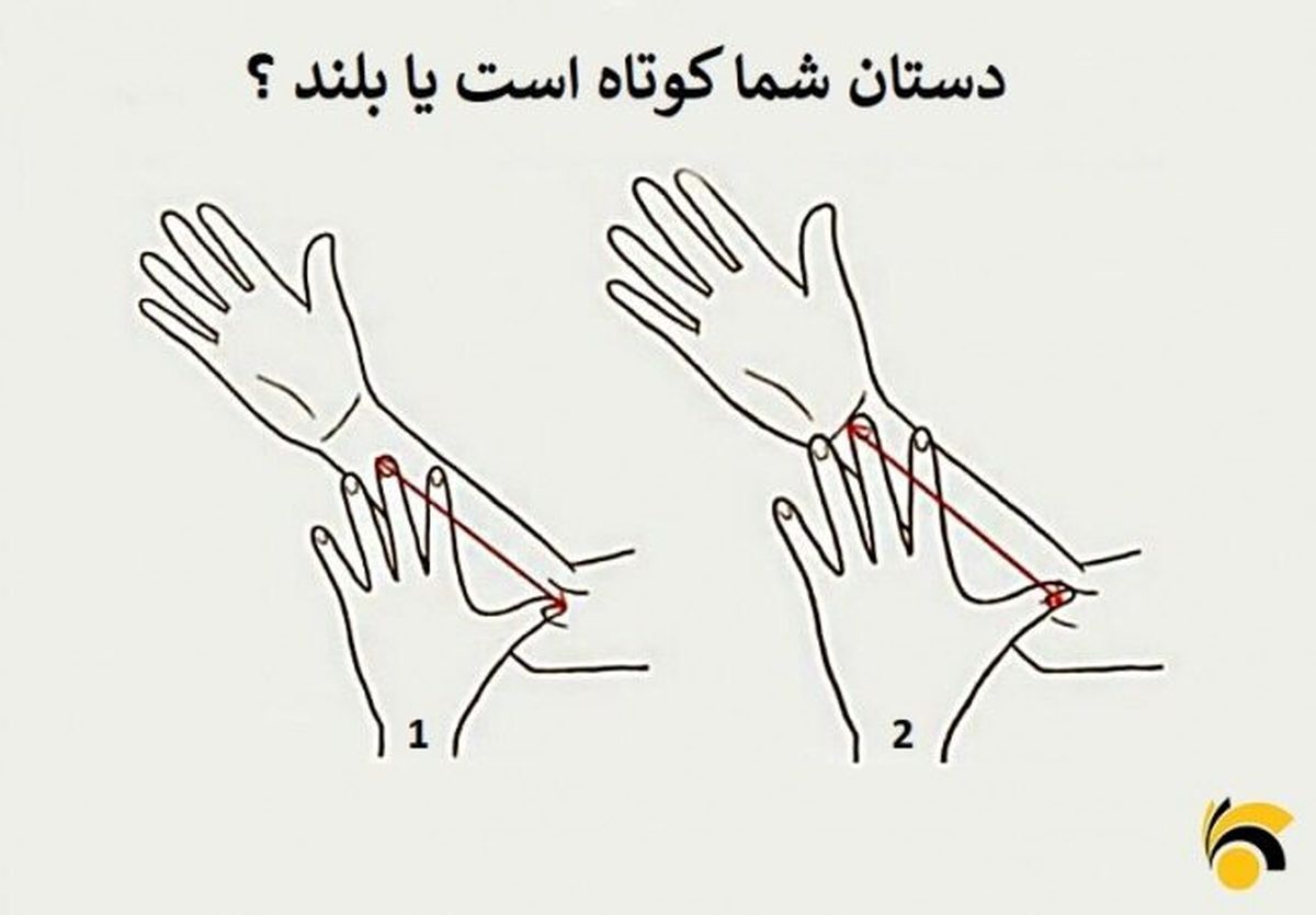 دستات کوتاه یا بلند؟از جوابش شگفت زده میشی | تست روانشناسی