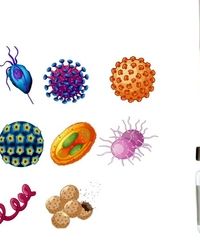 اگر دوز گارداسیل دیر زده شود چه اتفاقی می افتد؟
