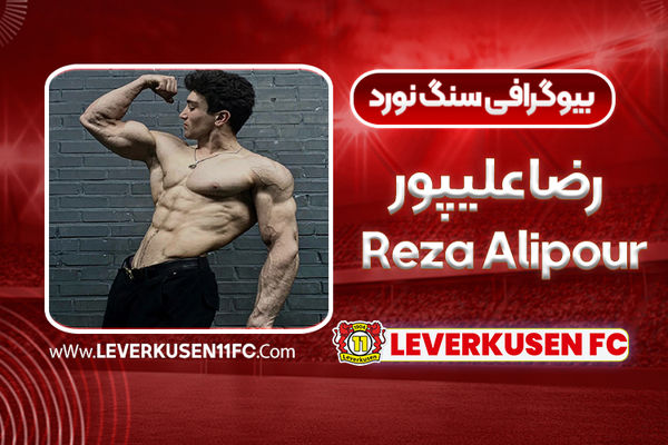 بیوگرافی رضا علیپور
