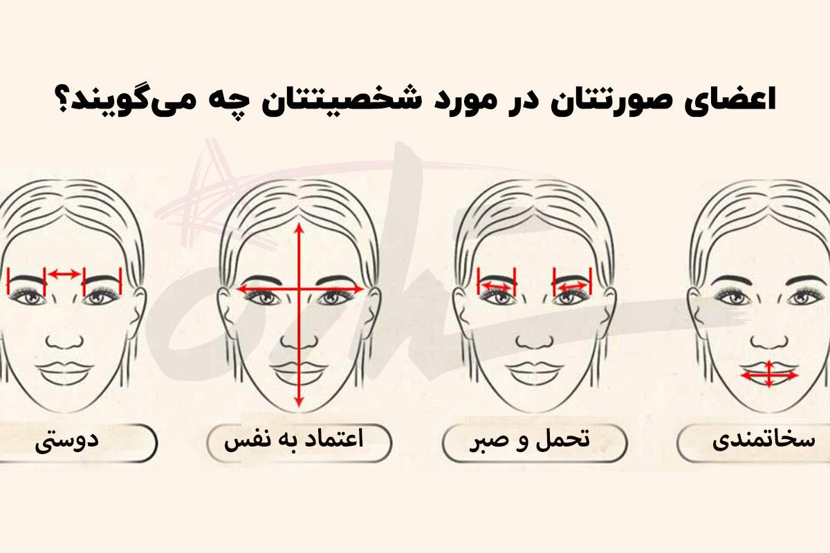 تست شخصیت شناسی | میخوای راز بقیه رو بفهمی به فرم صورتش دقت کنی