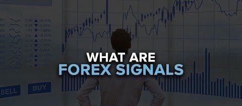 سیگنال فارکس؛ ابزار تصمیم‌گیری یا عامل وابستگی معامله‌گر؟