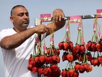 توت فرنگی های درشت موجود در بازار سمی است؟