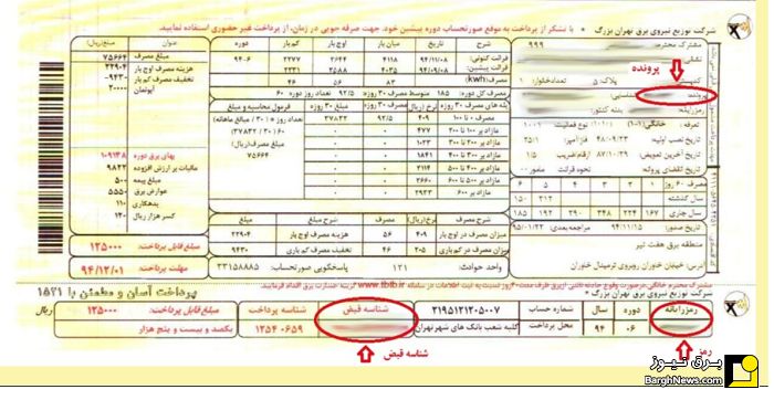 پاداش ویژه دولت در جیب این افراد | قبض برق رایگان می شود؟