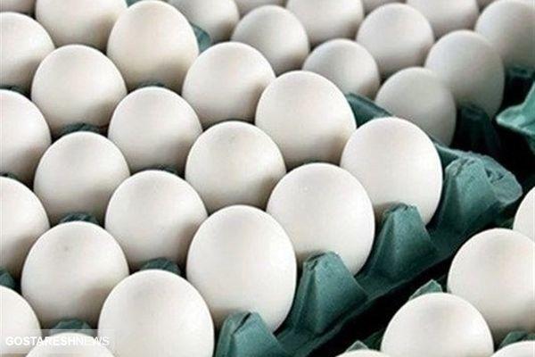 قیمت تخم مرغ بالاخره ارزان شد | قیمت تخم مرغ در بازار امروز شونه ای چند؟