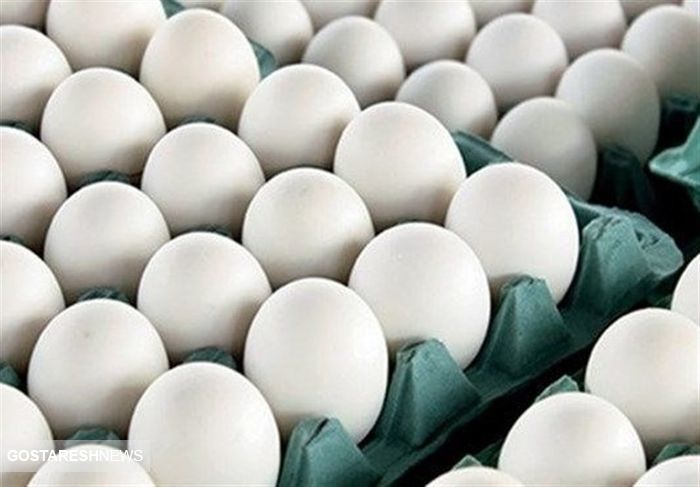 قیمت تخم مرغ بالاخره ارزان شد | قیمت تخم مرغ در بازار امروز شونه ای چند؟
