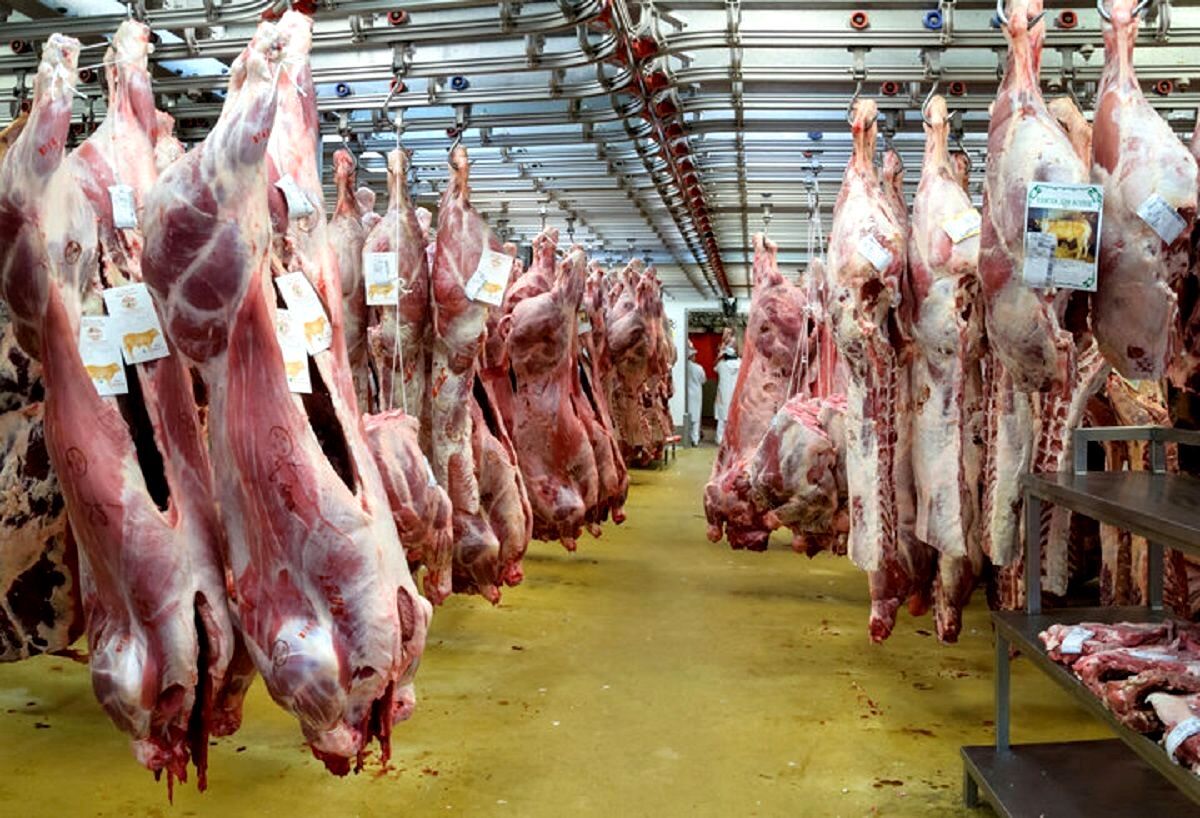 قیمت گوشت قرمز امروز ، امروز ۲۹ بهمن ۱۴۰۳