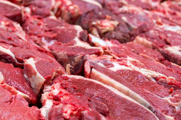 قیمت گوشت بدون تغییر ماند | قیمت گوشت گرم در بازار امروز کیلویی چند؟