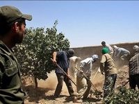 جزئیات جدید از تراژدی مرگ 7 نفر به چاه در کوهدشت 