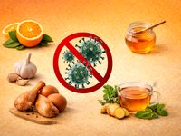 لیست طلایی خوراکی‌های ضد آنفلوانزا که بدن را زره می‌کند