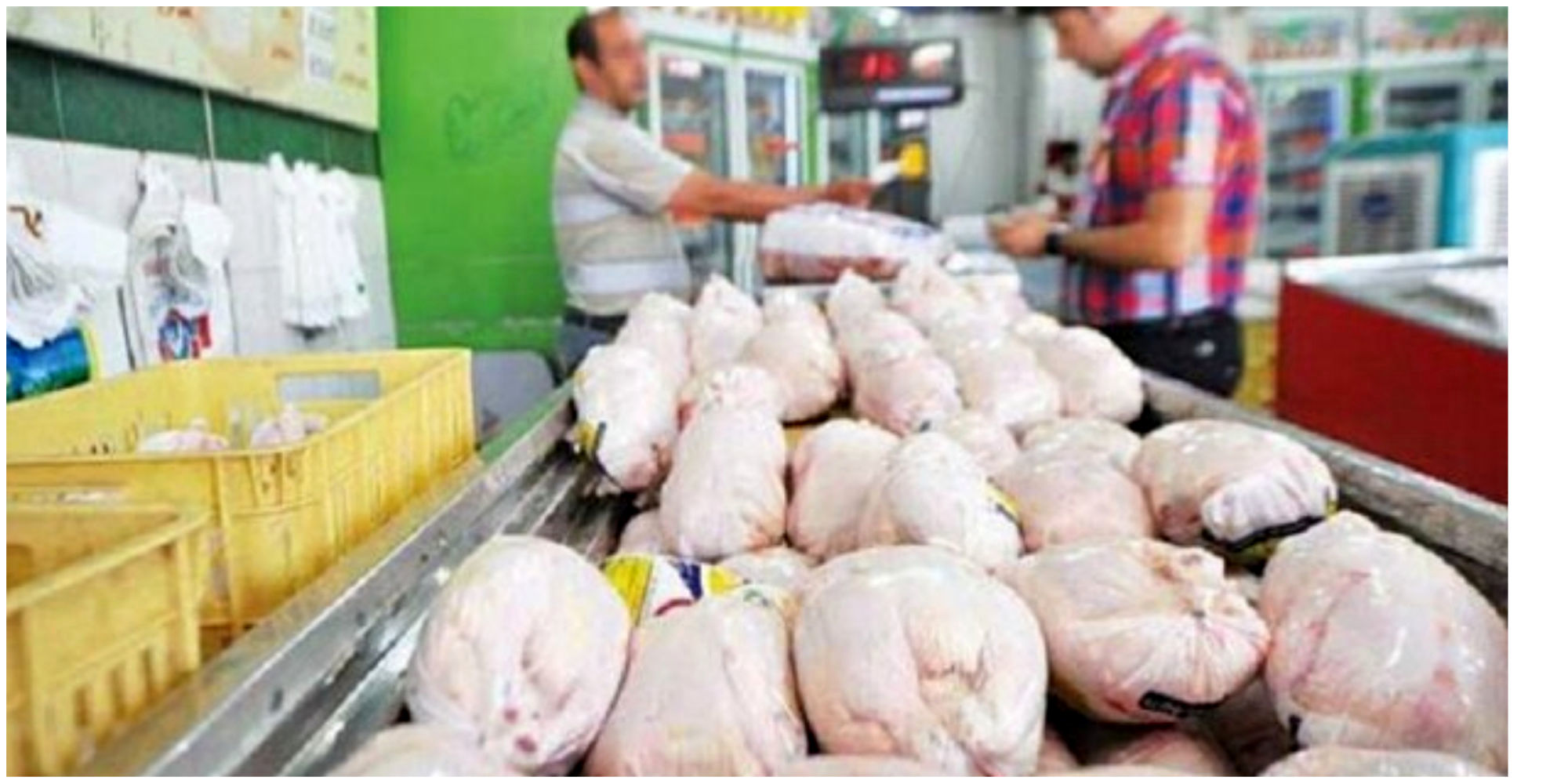 قیمت مرغ در بازار امروز 6 تیر اعلام شد | قیمت مرغ گرم در میادین تره بار کیلویی چند؟