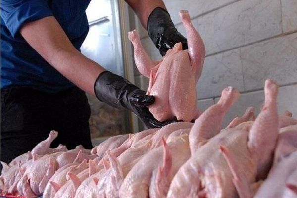گرانی مرغ و کالاهای اساسی در راه است؟
