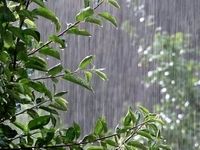 بارورسازی ابرها  آغاز می شود