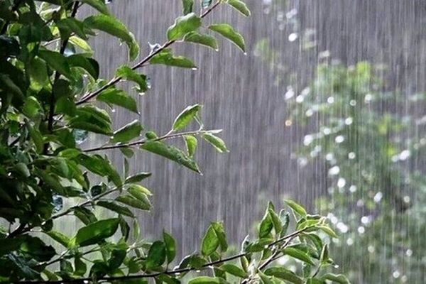 بارورسازی ابرها  آغاز می شود