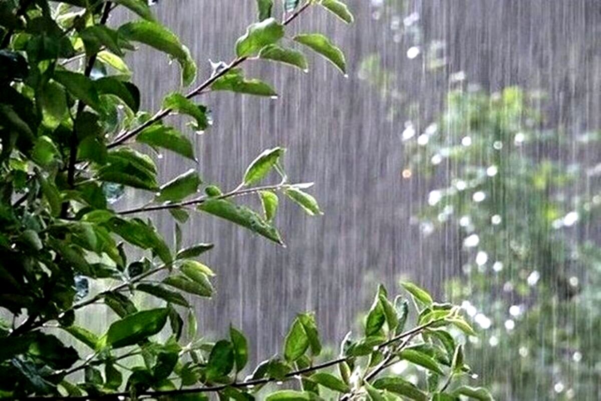 بارورسازی ابرها  آغاز می شود