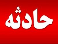 ماجرای وحشتناک پیدا شدن سر بریده یک زن در سطل زباله