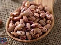 رکورد شکنی قیمت لوبیا چیتی در بازار