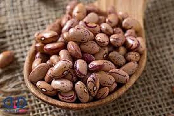 رکورد شکنی قیمت لوبیا چیتی در بازار