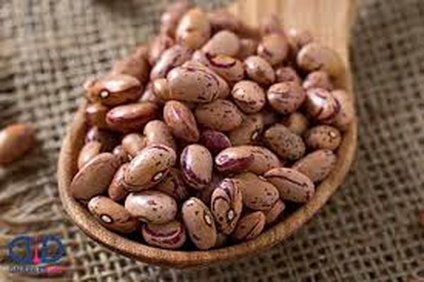 رکورد شکنی قیمت لوبیا چیتی در بازار