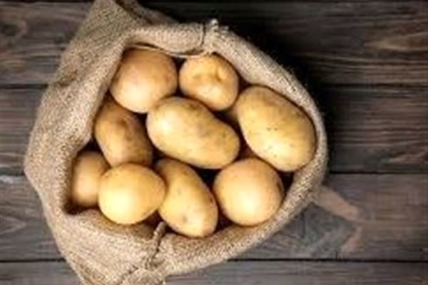 سیب زمینی در بازار دوباره گران و کمیاب شد