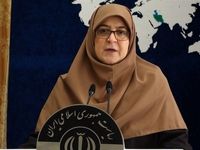 دولت پزشکیان ابراز تاسف کرد