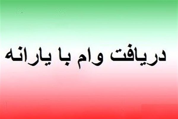 فعال سازی وام یارانه برای رانندگان